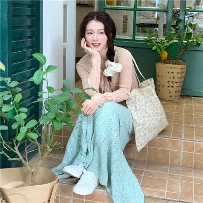 完美家伙